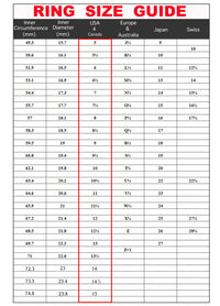 Load image into Gallery viewer, Mens Egyptian Gold Black Anubis Ring Stainless Steel
